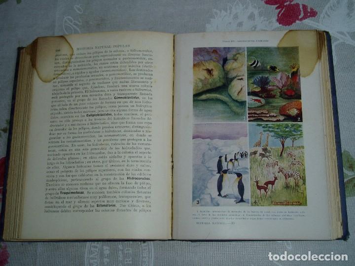 Libros antiguos: Libro la Historia Natural de Sopena 1935 - Foto 22