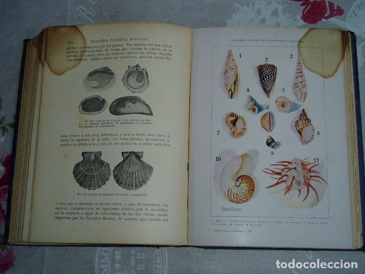 Libros antiguos: Libro la Historia Natural de Sopena 1935 - Foto 23