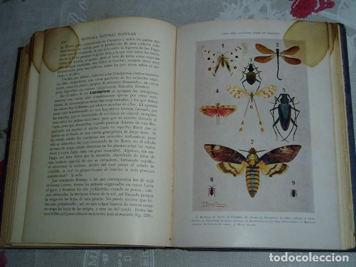 Libros antiguos: Libro la Historia Natural de Sopena 1935 - Foto 24