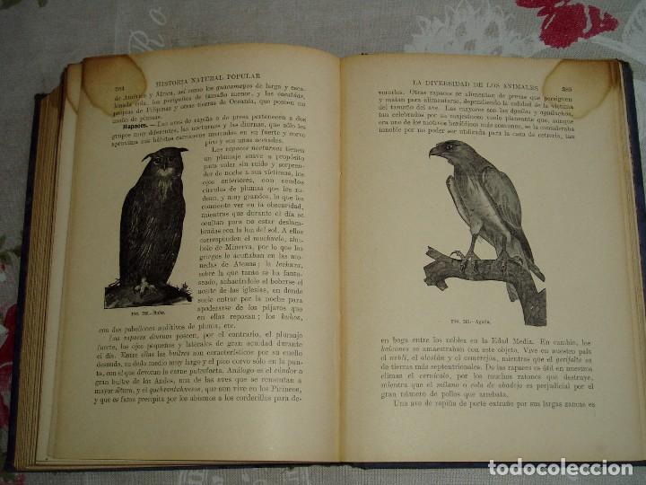Libros antiguos: Libro la Historia Natural de Sopena 1935 - Foto 25