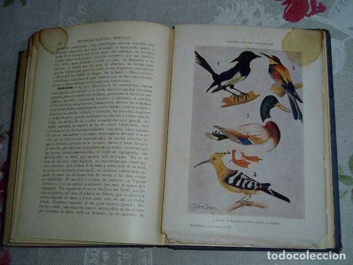 Libros antiguos: Libro la Historia Natural de Sopena 1935 - Foto 26