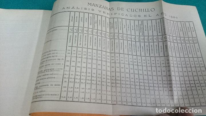 Libros antiguos: LAS MANZANAS DE CUCHILLO, 1921 - Foto 4