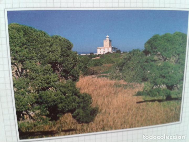 Libros antiguos: LA ISLA DE NUEVA TABARCA  Cuaderno de campo.2006 - Foto 7