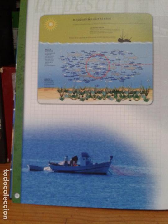Libros antiguos: LA ISLA DE NUEVA TABARCA  Cuaderno de campo.2006 - Foto 8