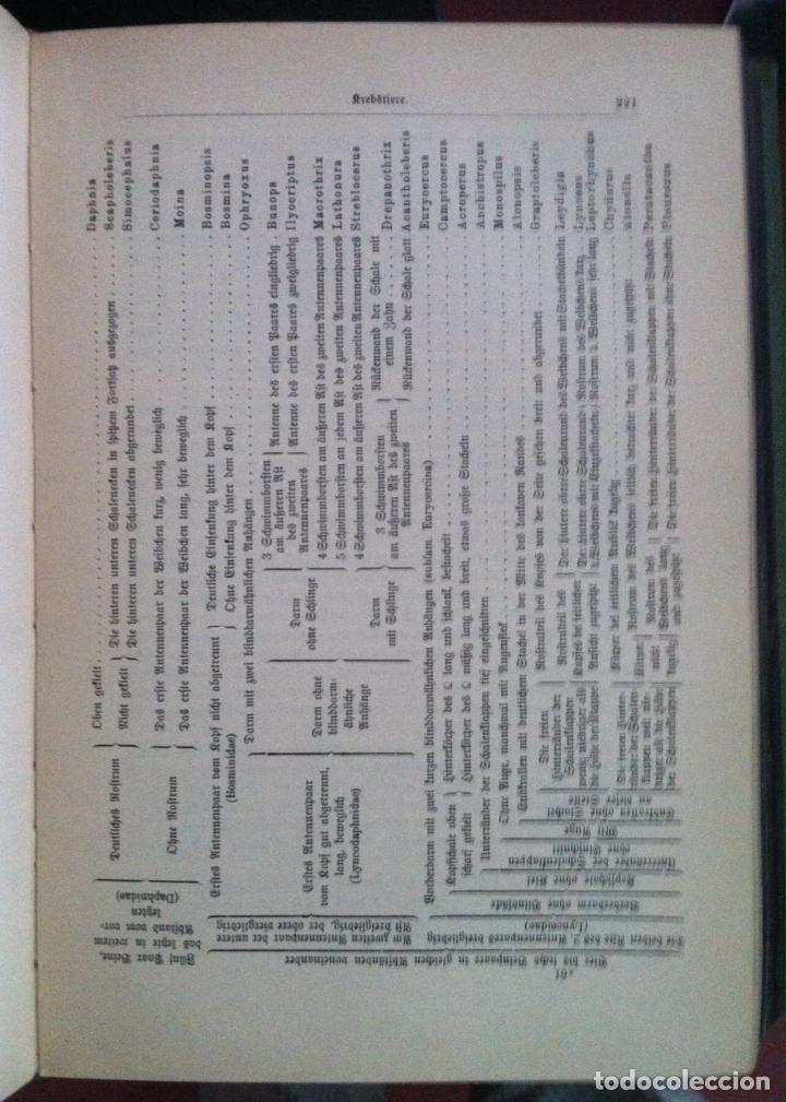 Libros antiguos: Kurt Lampert. Das Leben der Binnengew&auml;sser. 1910 - Foto 4