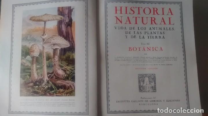 Libros antiguos: HISTORIA NATURAL (4 tomos) - Foto 2