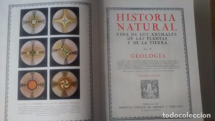 Libros antiguos: HISTORIA NATURAL (4 tomos) - Foto 3