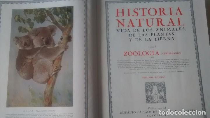 Libros antiguos: HISTORIA NATURAL (4 tomos) - Foto 4