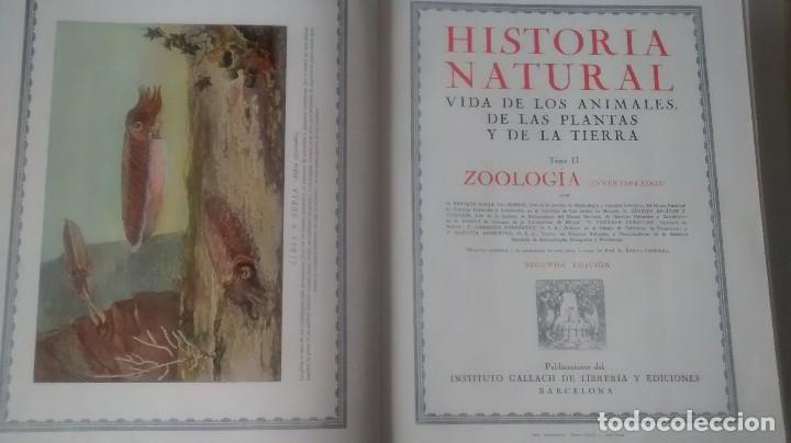 Libros antiguos: HISTORIA NATURAL (4 tomos) - Foto 5