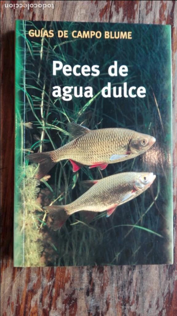 Libros antiguos: Peces de agua dulce. Uwe hartman - Foto 1