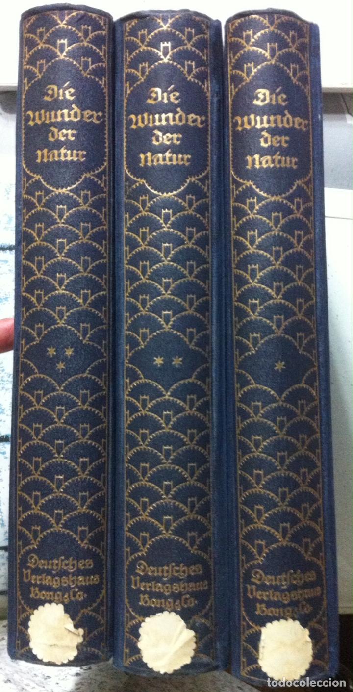 Libros antiguos: Die Wunder der Natur. 1912 - Foto 2