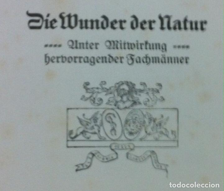 Libros antiguos: Die Wunder der Natur. 1912 - Foto 3