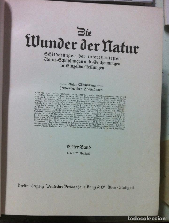 Libros antiguos: Die Wunder der Natur. 1912 - Foto 4
