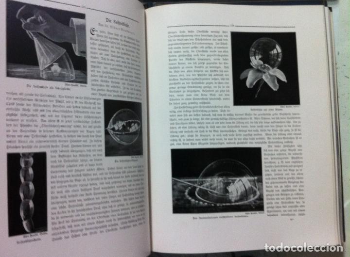 Libros antiguos: Die Wunder der Natur. 1912 - Foto 7
