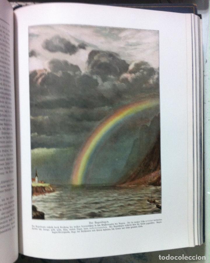Libros antiguos: Die Wunder der Natur. 1912 - Foto 8