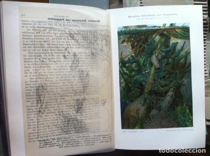 Libros antiguos: Kurt Lampert. Das Leben der Binnengew&auml;sser. 1910 - Foto 6