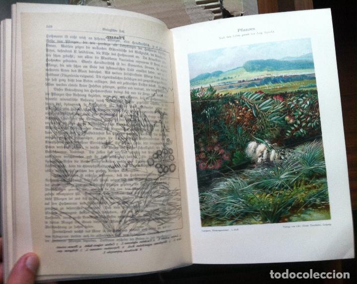 Libros antiguos: Kurt Lampert. Das Leben der Binnengew&auml;sser. 1910 - Foto 7