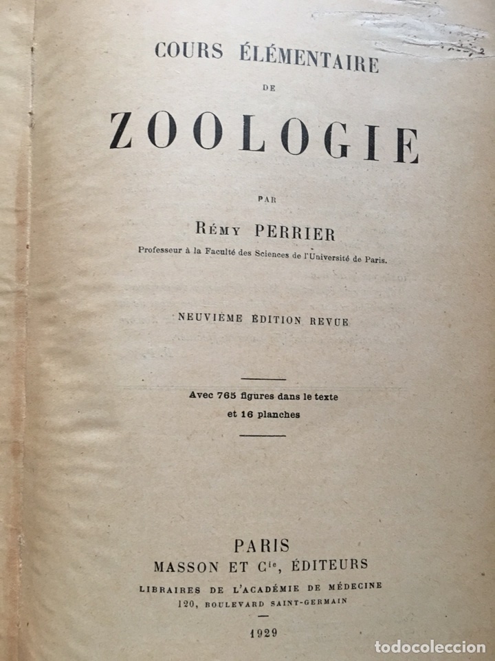 Libros antiguos: Zoologie R&eacute;my Perrier - Foto 5