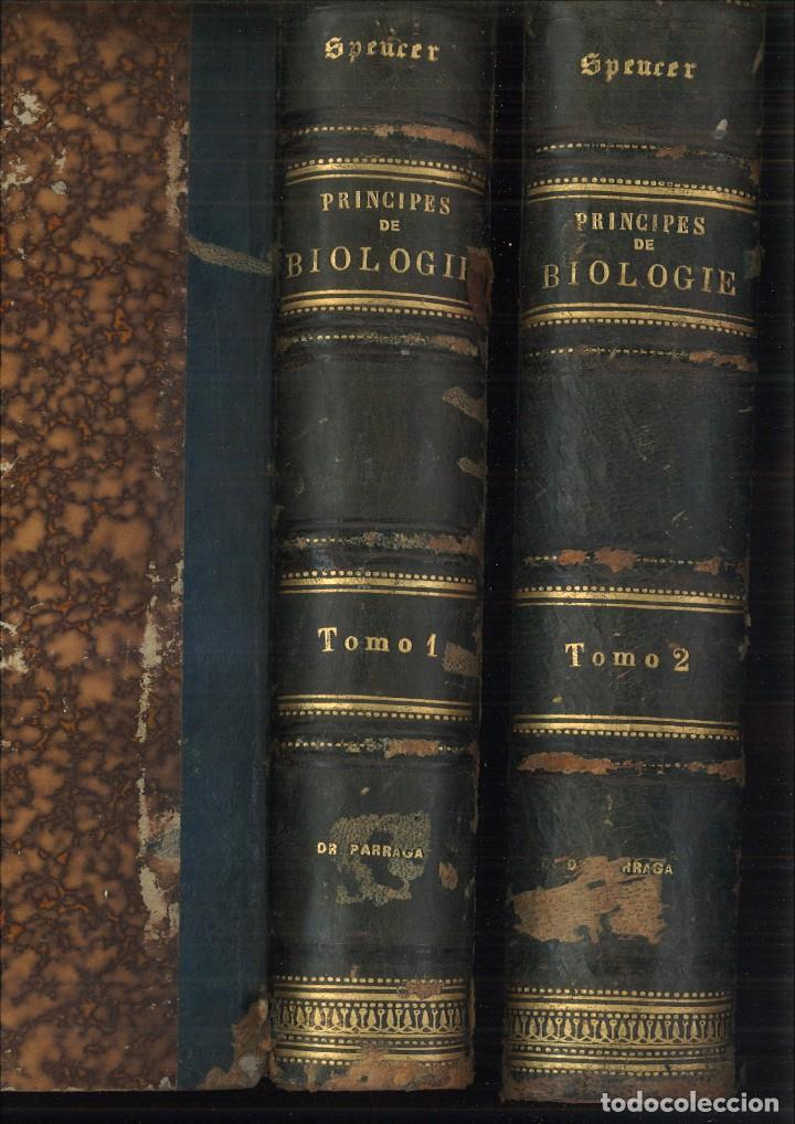 Libros antiguos: PRINCIPES DE BIOLOGIE. Herbert Spencer - Foto 3