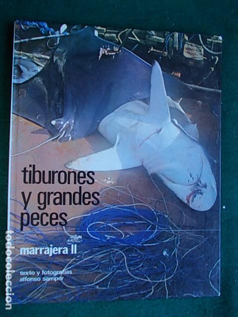 Libros antiguos: Tiburones y grandes peces - Foto 1