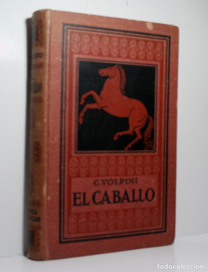 Libros antiguos: EL CABALLO. VOLPINI Carlos. 1922 - Foto 1
