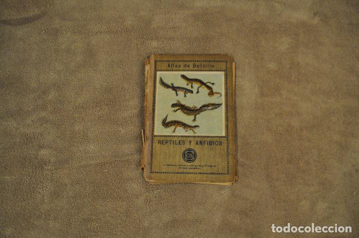 Libros antiguos: ATLAS DE BOLSILLO - REPTILES Y ANFIBIOS - E.LESSNER - SEITHER EDITOR - AFF1 - Foto 1