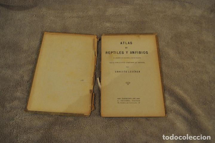 Libros antiguos: ATLAS DE BOLSILLO - REPTILES Y ANFIBIOS - E.LESSNER - SEITHER EDITOR - AFF1 - Foto 2