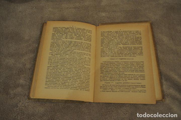 Libros antiguos: ATLAS DE BOLSILLO - REPTILES Y ANFIBIOS - E.LESSNER - SEITHER EDITOR - AFF1 - Foto 3