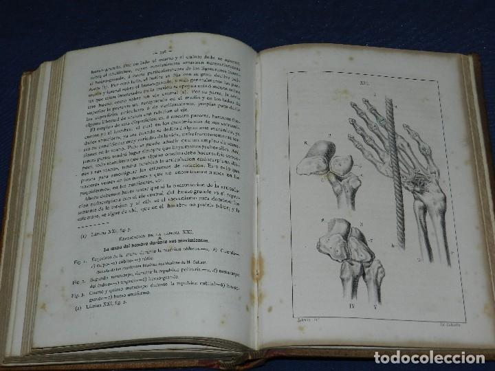 Libros antiguos: (MF) RCR - LA TEORIA DARWINIANA Y LA CREACION LLAMADA INDEPENDIENTE CHARLES DARWIN 1878 - Foto 4 - 109258147