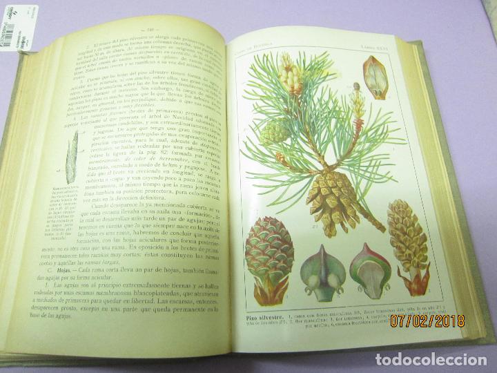 Libros antiguos: SCHMEIL. OTTO, DR, CURSO DE BOT&Aacute;NICA - Foto 2