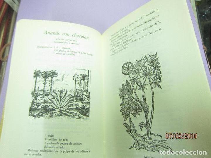 Libros antiguos: SCHMEIL. OTTO, DR, CURSO DE BOT&Aacute;NICA - Foto 4