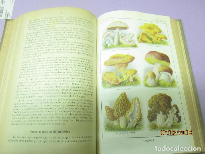 Libros antiguos: SCHMEIL. OTTO, DR, CURSO DE BOT&Aacute;NICA - Foto 5