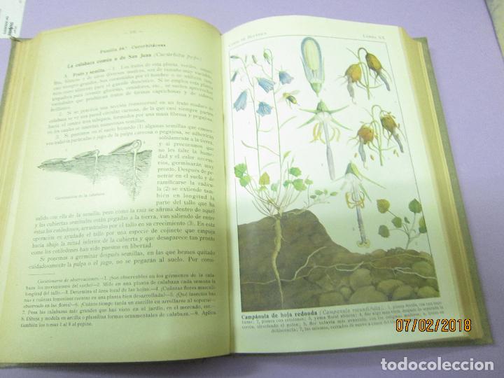 Libros antiguos: SCHMEIL. OTTO, DR, CURSO DE BOT&Aacute;NICA - Foto 6