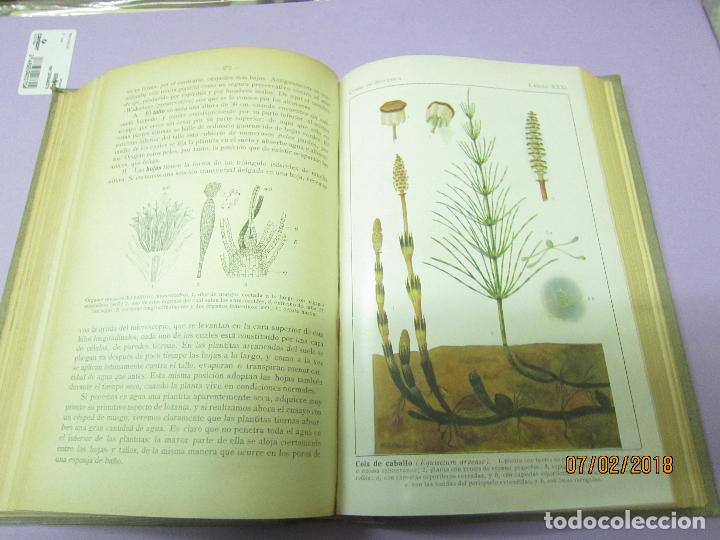 Libros antiguos: SCHMEIL. OTTO, DR, CURSO DE BOT&Aacute;NICA - Foto 7
