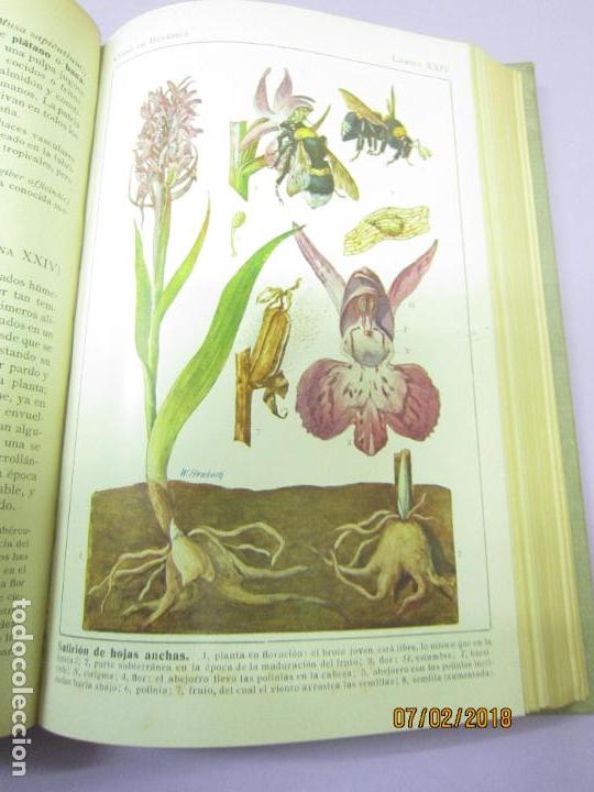 Libros antiguos: SCHMEIL. OTTO, DR, CURSO DE BOT&Aacute;NICA - Foto 8