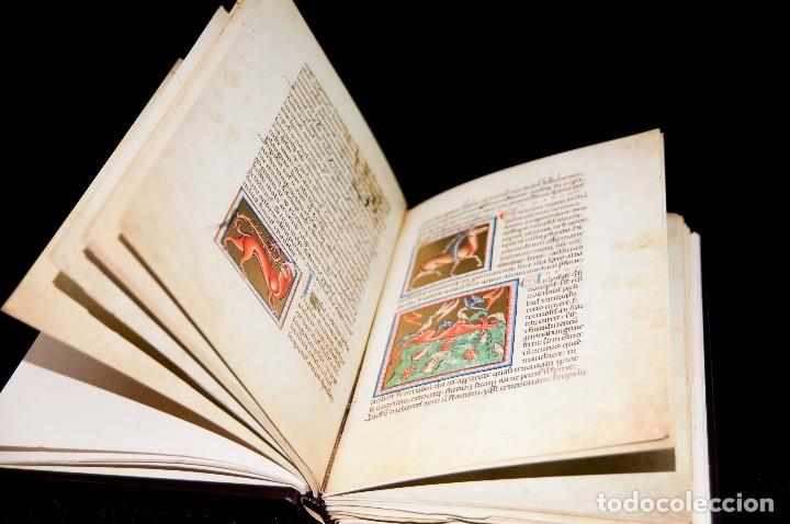 Libros antiguos: Bestiario de Oxford - Ed. Adeva - Facs&iacute;mil - Foto 2