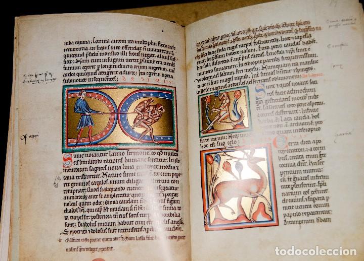 Libros antiguos: Bestiario de Oxford - Ed. Adeva - Facs&iacute;mil - Foto 4