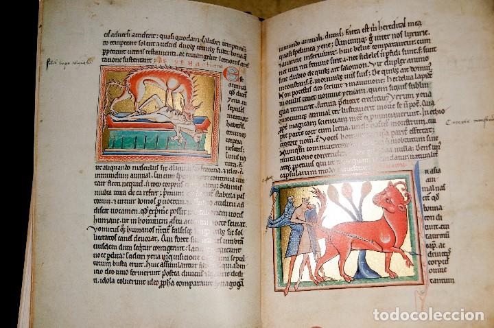 Libros antiguos: Bestiario de Oxford - Ed. Adeva - Facs&iacute;mil - Foto 5