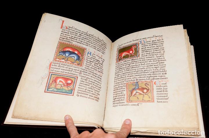 Libros antiguos: Bestiario de Oxford - Ed. Adeva - Facs&iacute;mil - Foto 7
