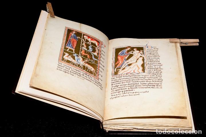 Libros antiguos: Bestiario de Oxford - Ed. Adeva - Facs&iacute;mil - Foto 8