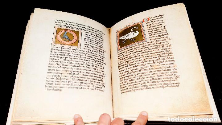 Libros antiguos: Bestiario de Oxford - Ed. Adeva - Facs&iacute;mil - Foto 10