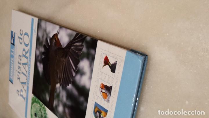 Libros antiguos: A vista de p&aacute;jaro  - paseriforme - - Foto 2