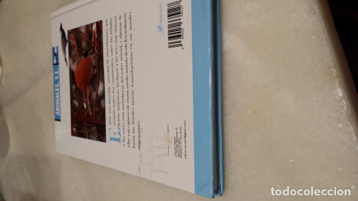 Libros antiguos: A vista de p&aacute;jaro  - paseriforme - - Foto 3