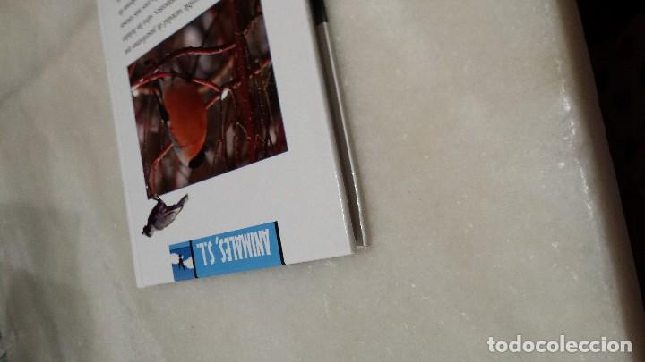 Libros antiguos: A vista de p&aacute;jaro  - paseriforme - - Foto 4