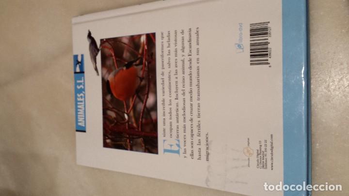 Libros antiguos: A vista de p&aacute;jaro  - paseriforme - - Foto 6