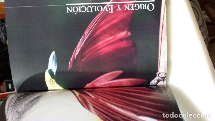 Libros antiguos: A vista de p&aacute;jaro  - paseriforme - - Foto 8
