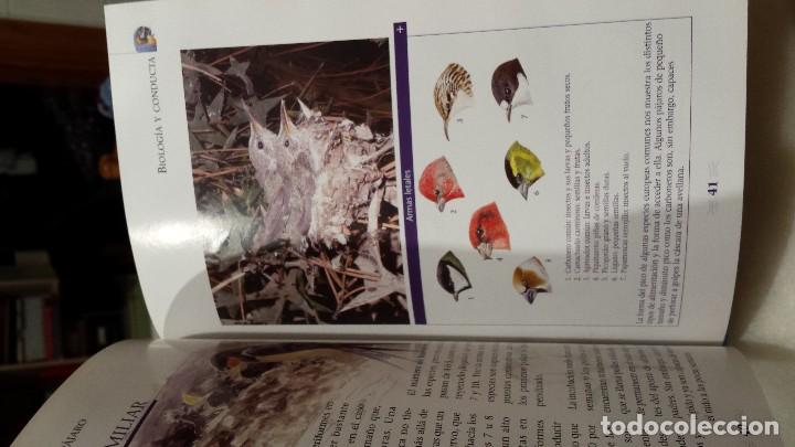 Libros antiguos: A vista de p&aacute;jaro  - paseriforme - - Foto 9
