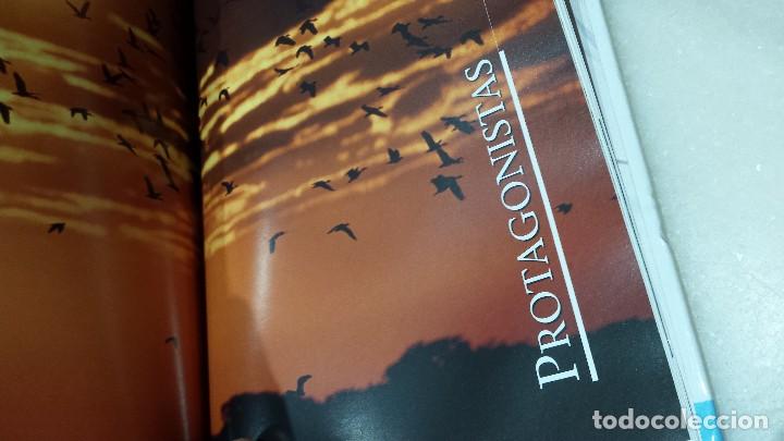 Libros antiguos: A vista de p&aacute;jaro  - paseriforme - - Foto 10