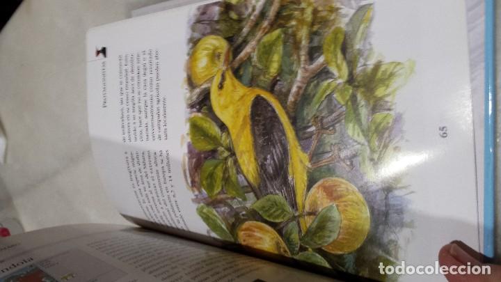 Libros antiguos: A vista de p&aacute;jaro  - paseriforme - - Foto 11