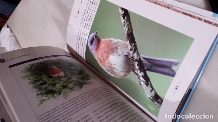 Libros antiguos: A vista de p&aacute;jaro  - paseriforme - - Foto 12